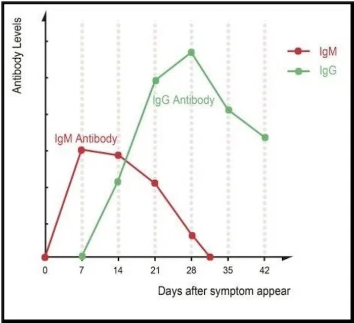 IgG and IgM Antibody levels and symptoms timeline