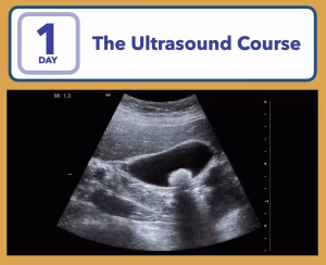 1 day Ultrasound CME course